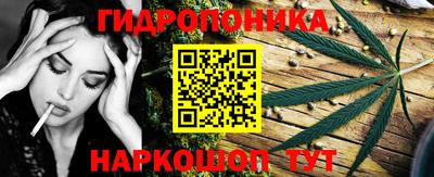 стаф Донецк